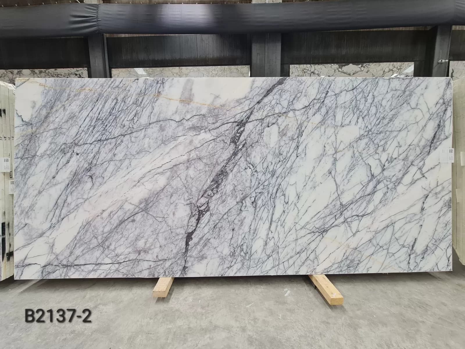 Milas Lilac · Select · 200×305×2 cm