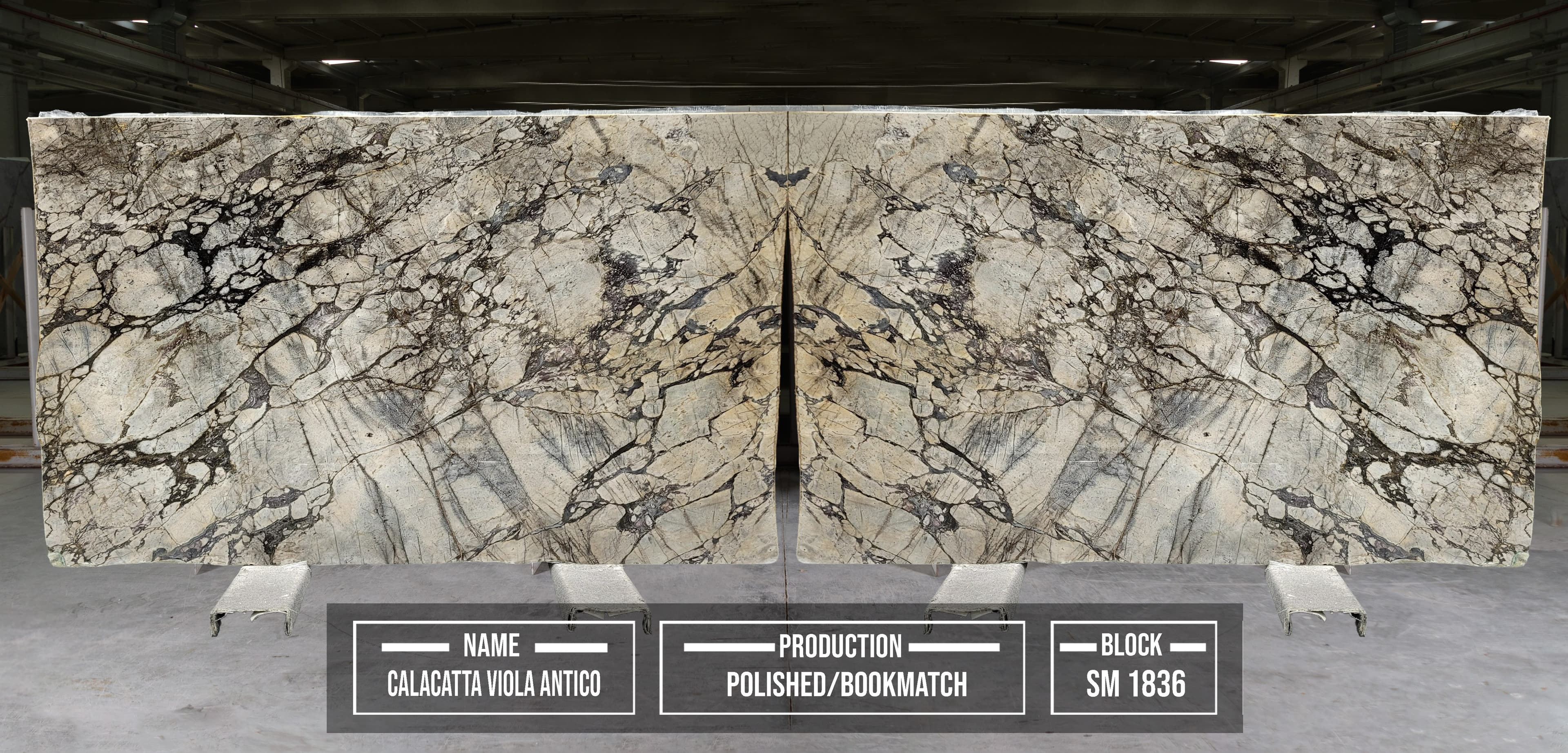 Calacatta Vıola Antıco · Select