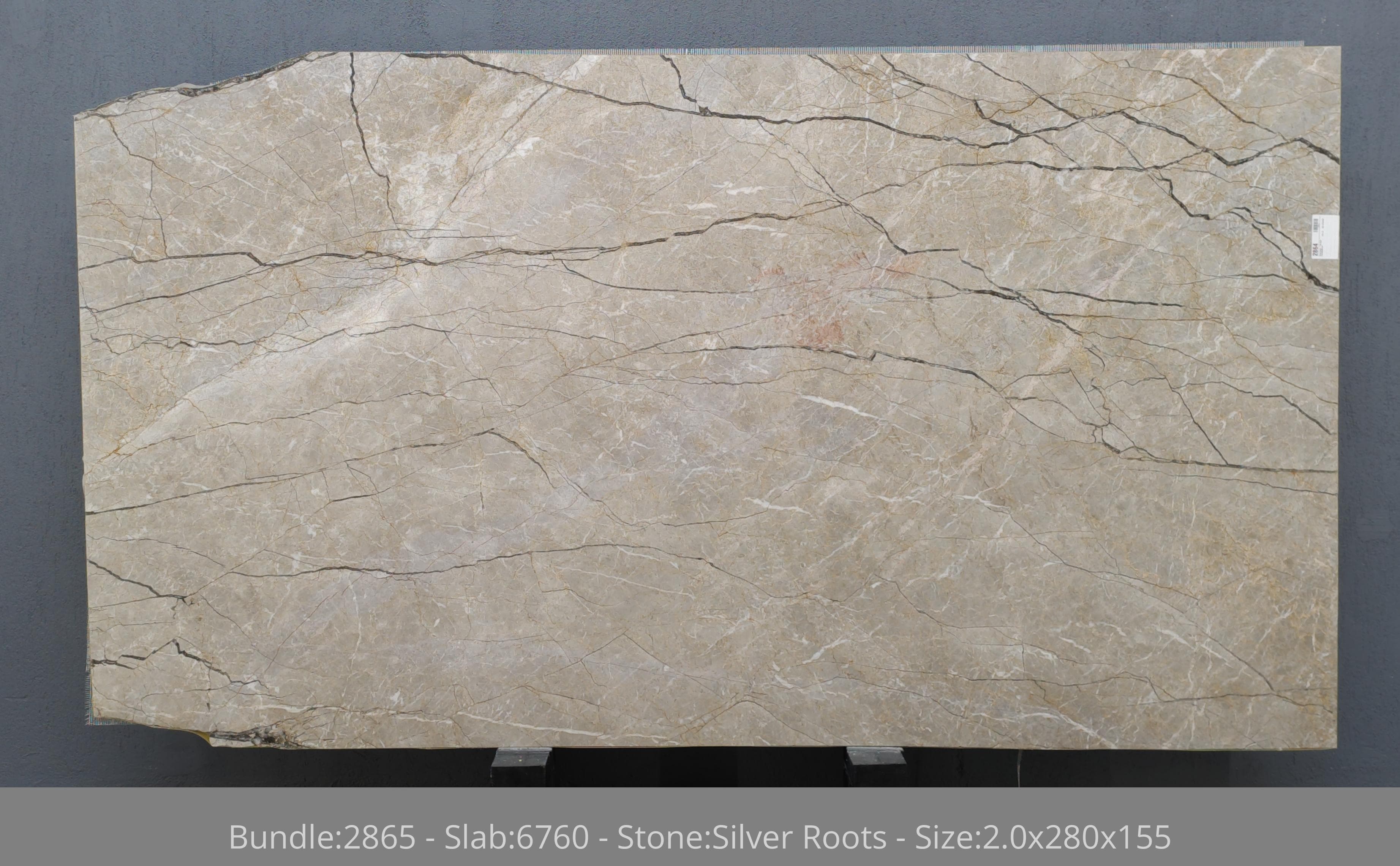 Silver Roots · Select