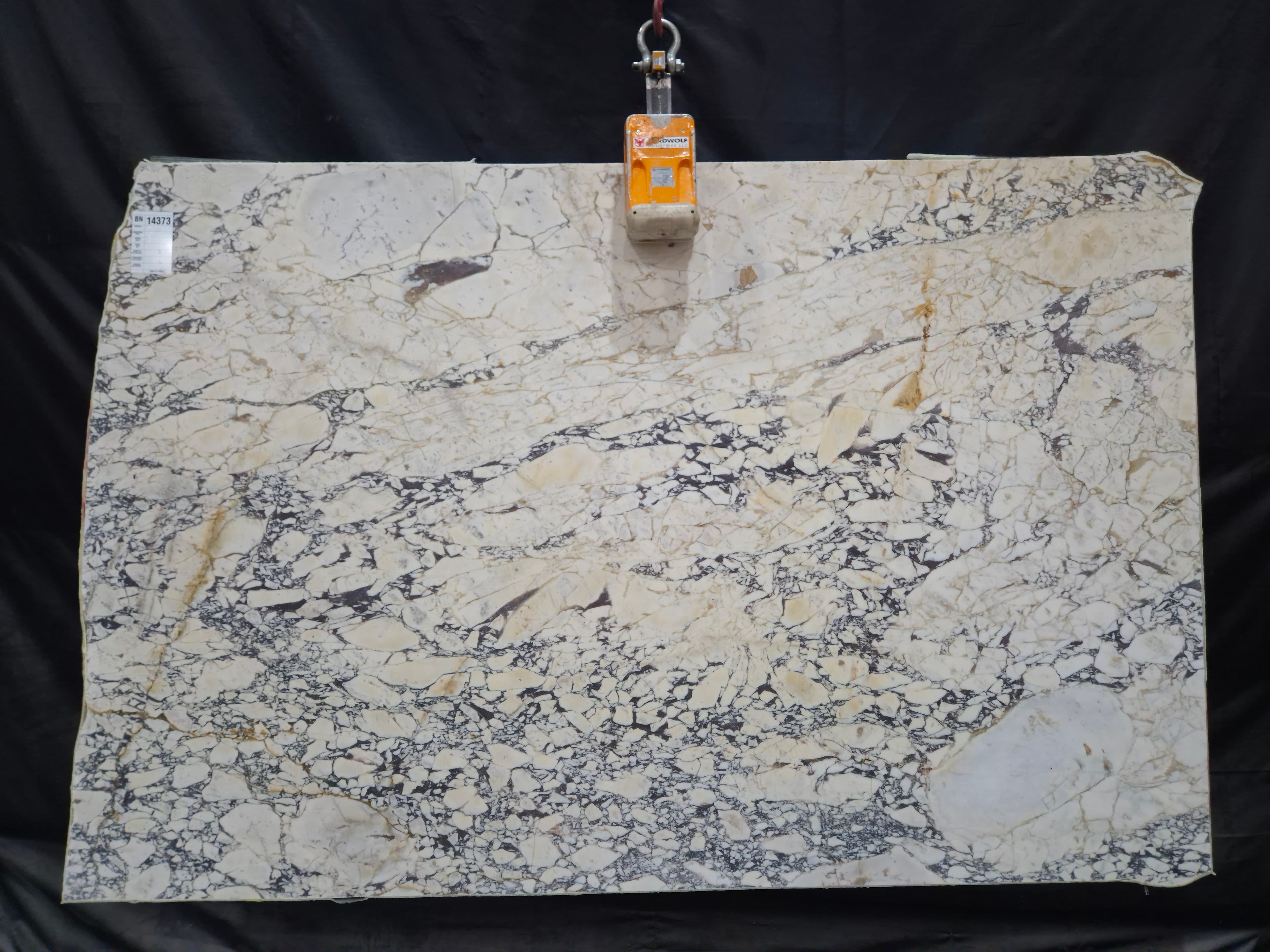 Calacatta Viola Gold · Select