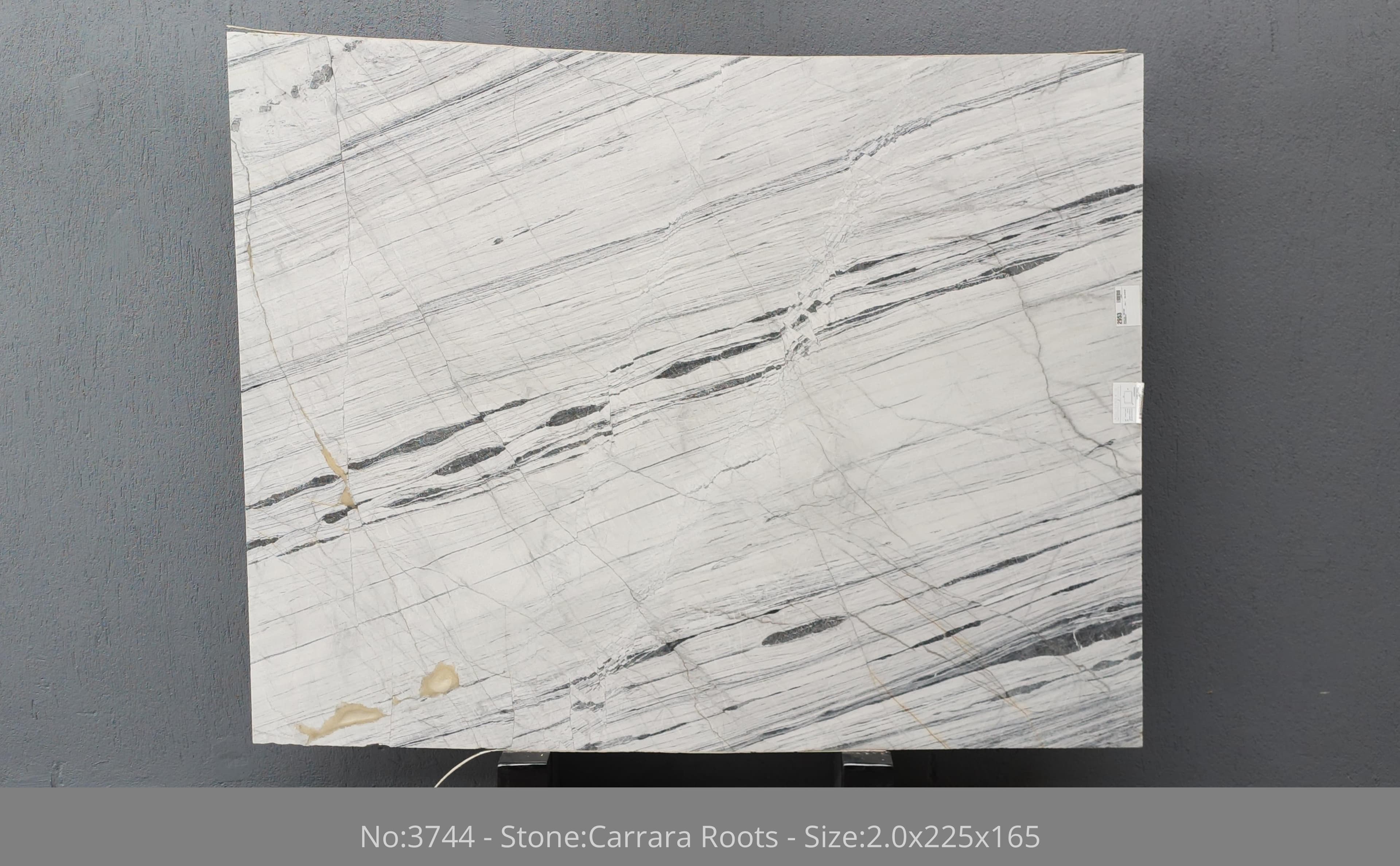 Carrara Roots · Select