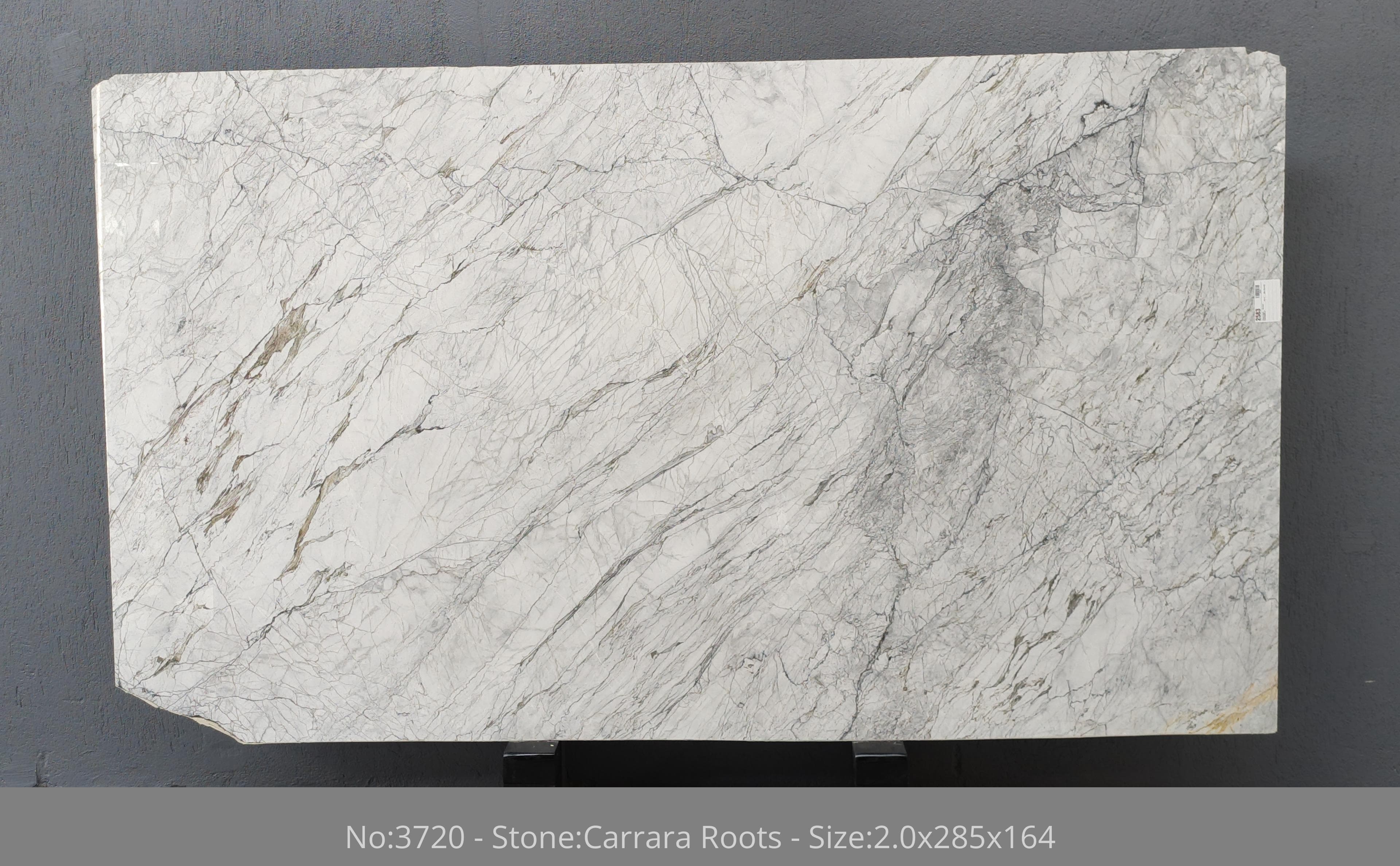 Carrara Roots · Select