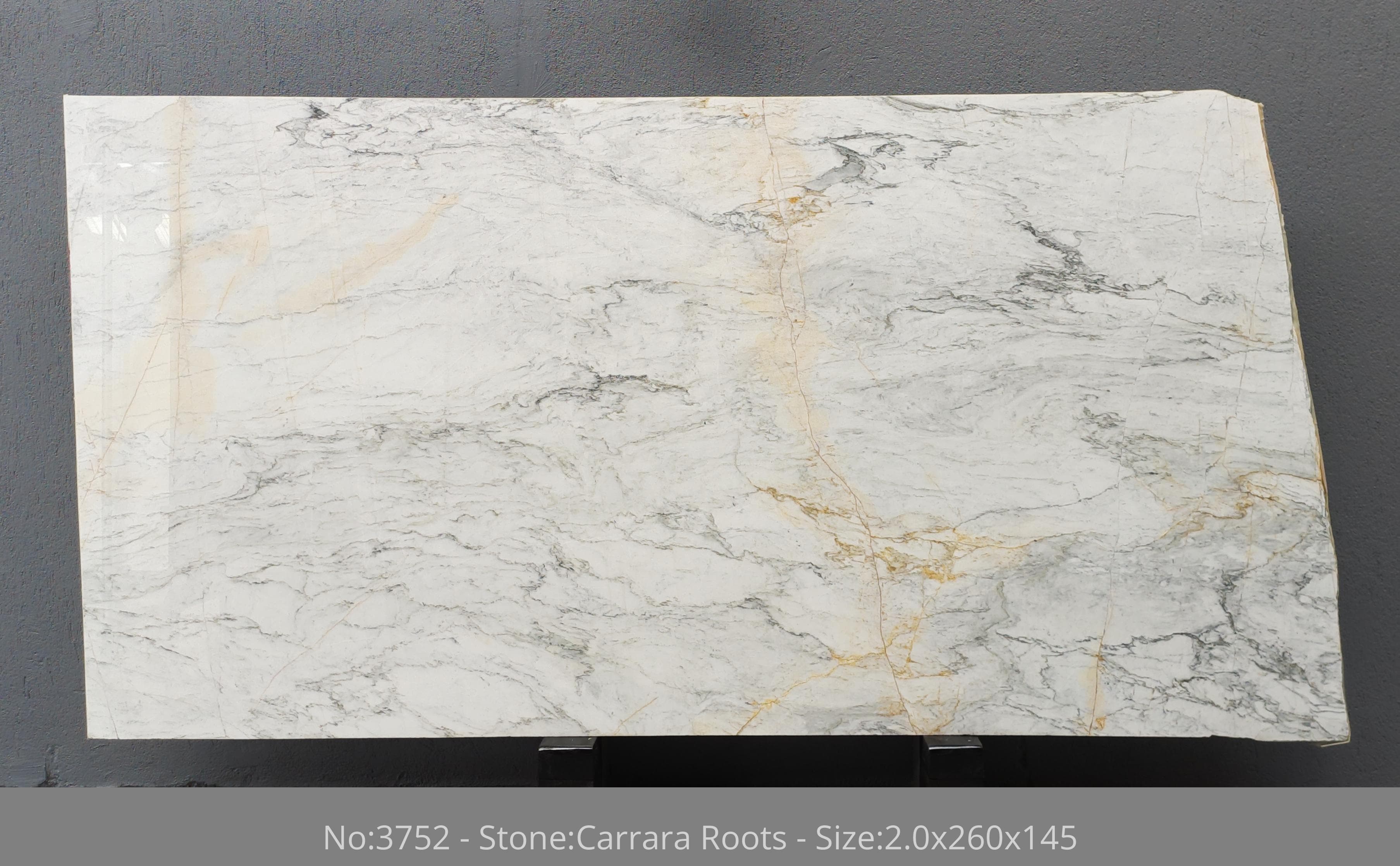 Carrara Roots · Select