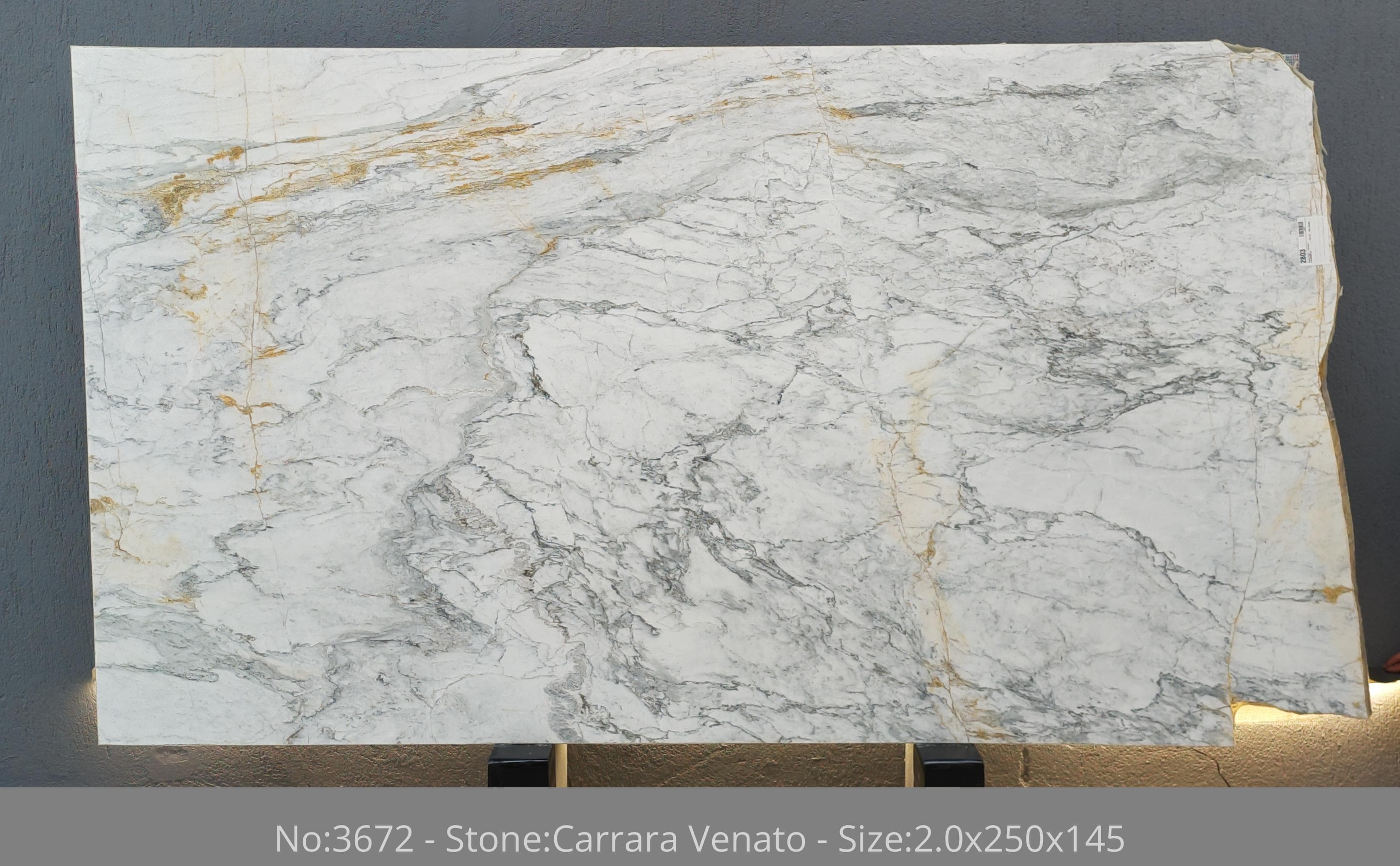 Carrara Venato · Select