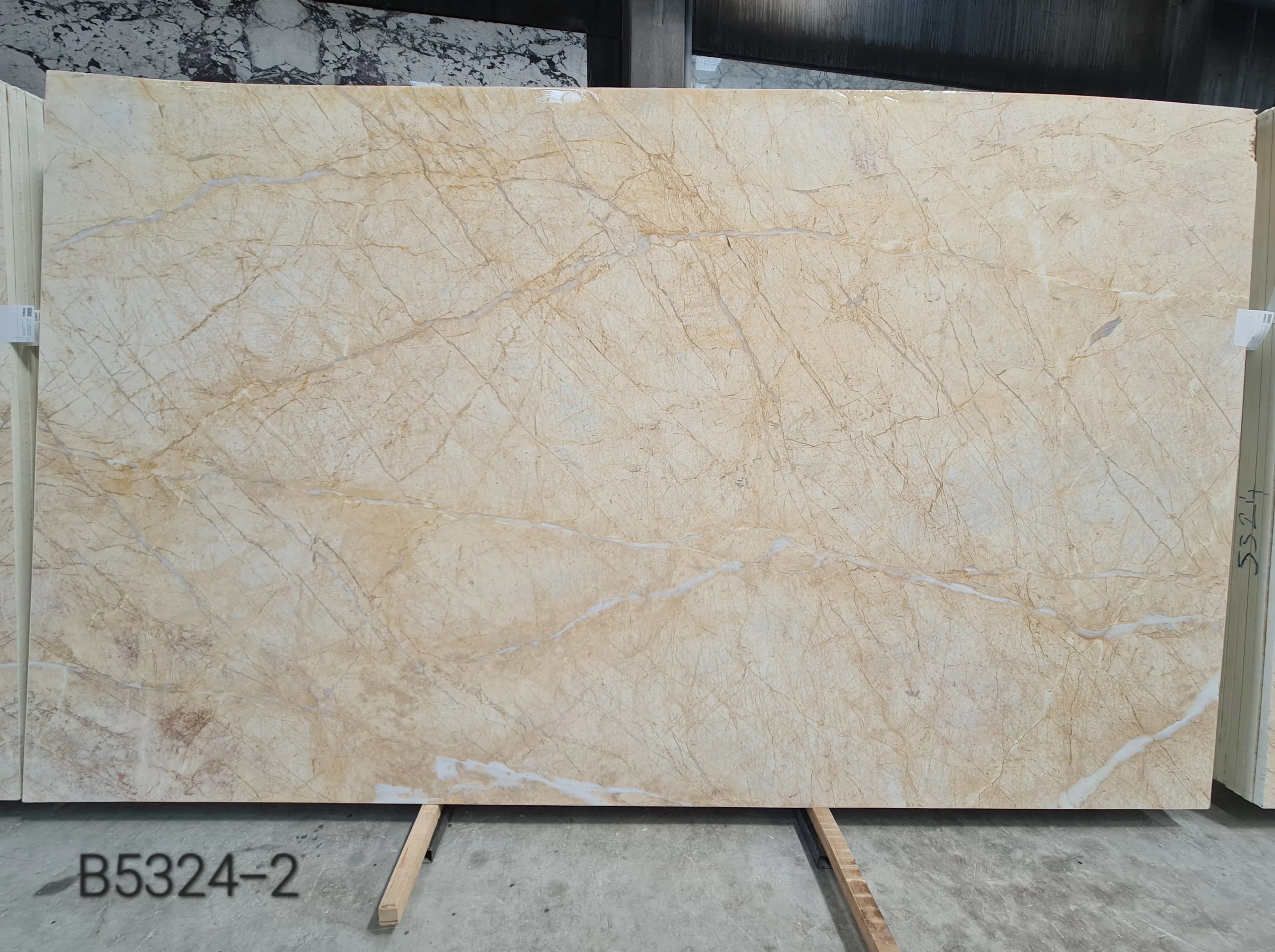 Golden Spider Dolomite · Select