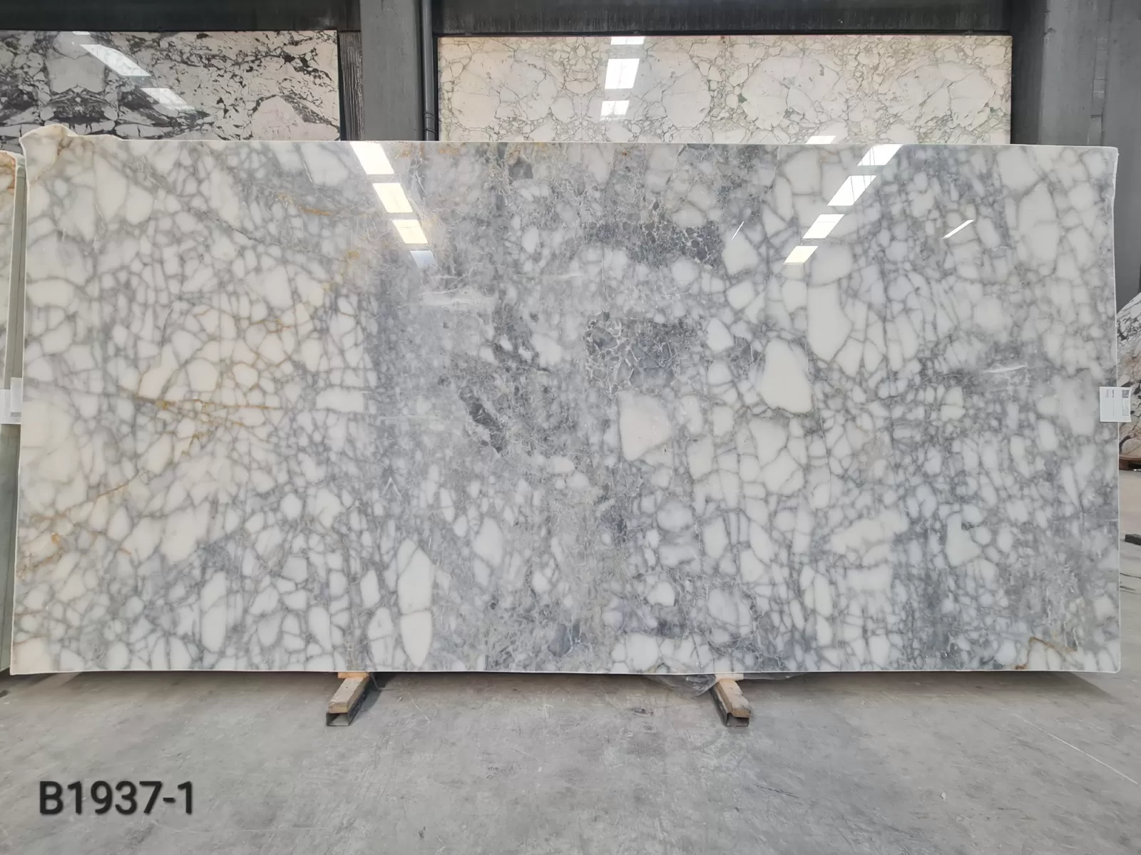 Bianco Venato · Select
