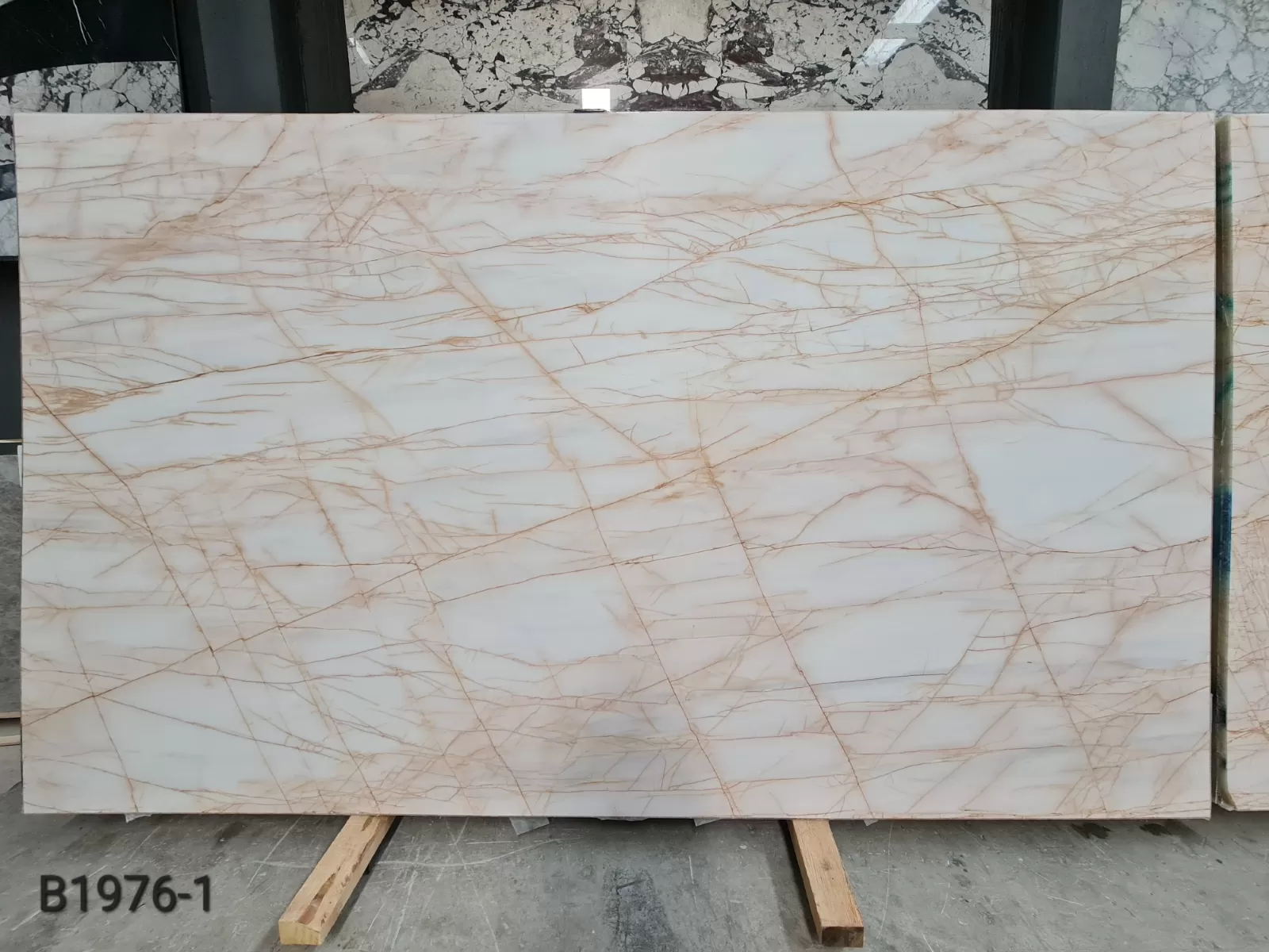 Golden Spider Dolomite · Select