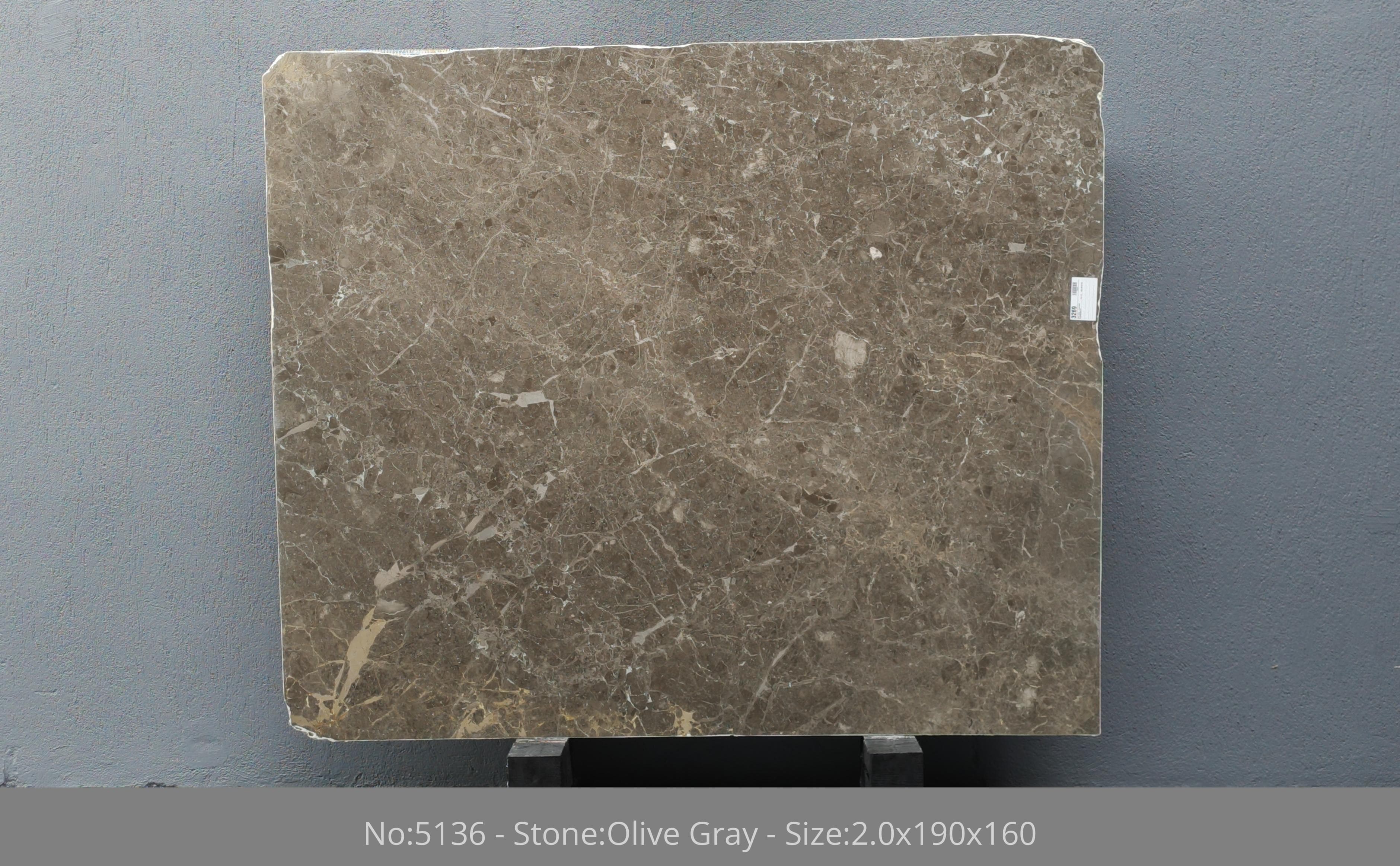 Olive Gray 1