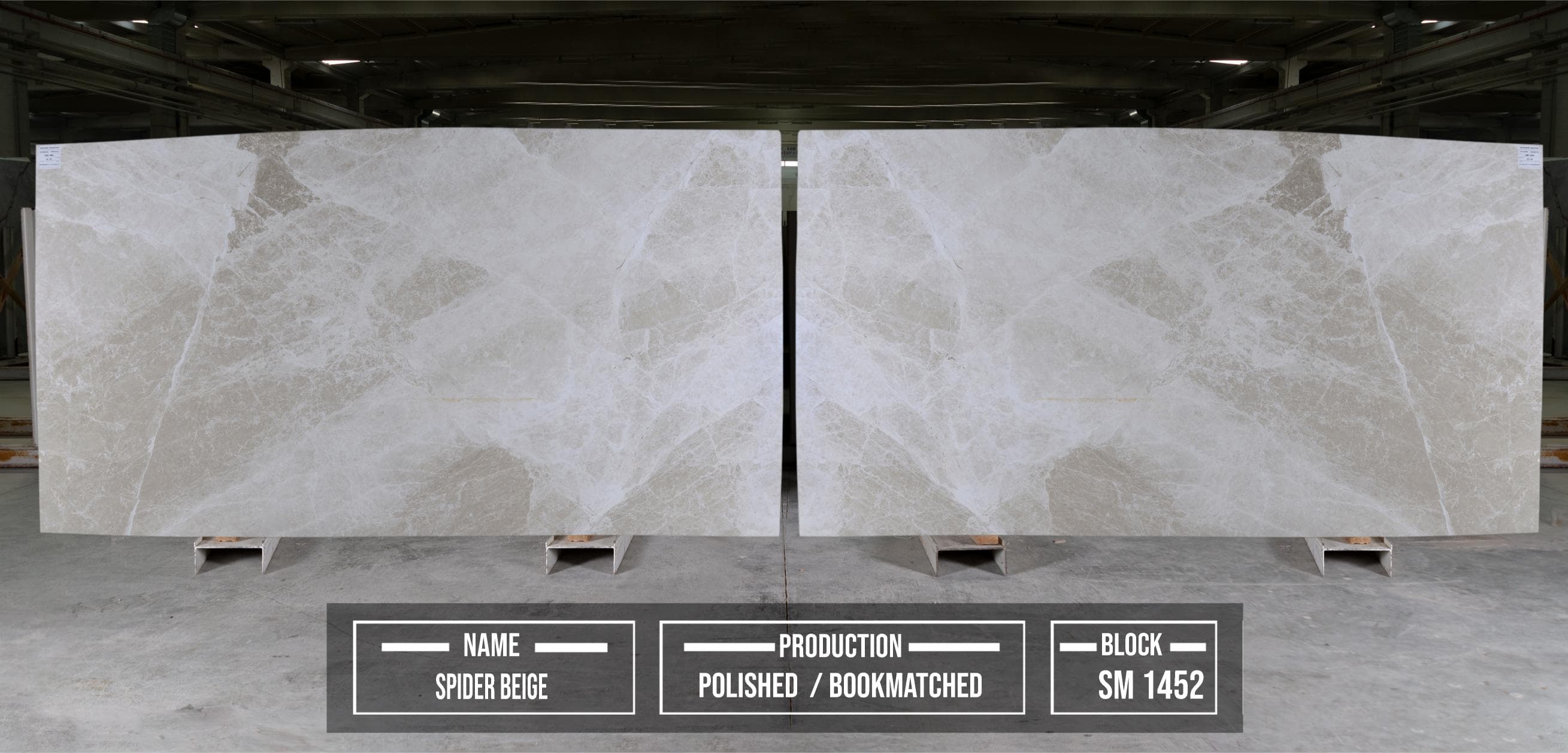 Spider Beige 1