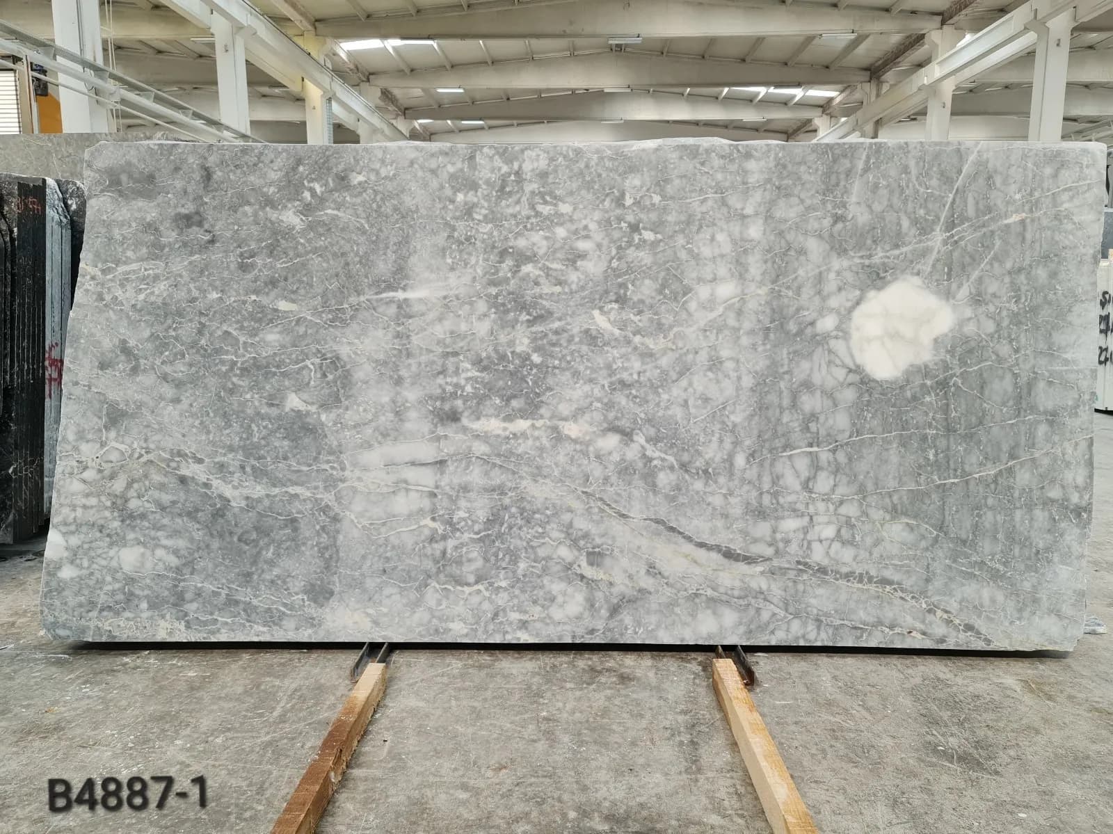 Grigio Venato · Select