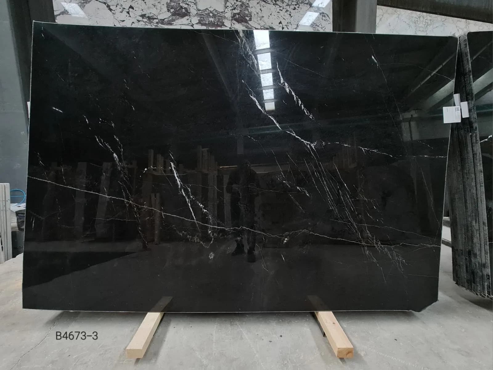 Alexandrette Black 1