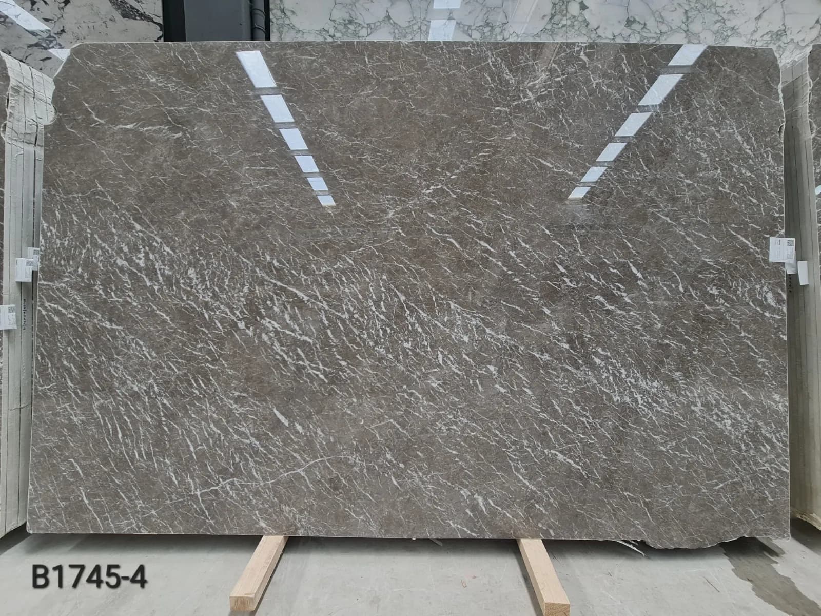 Cyprus Grey 1