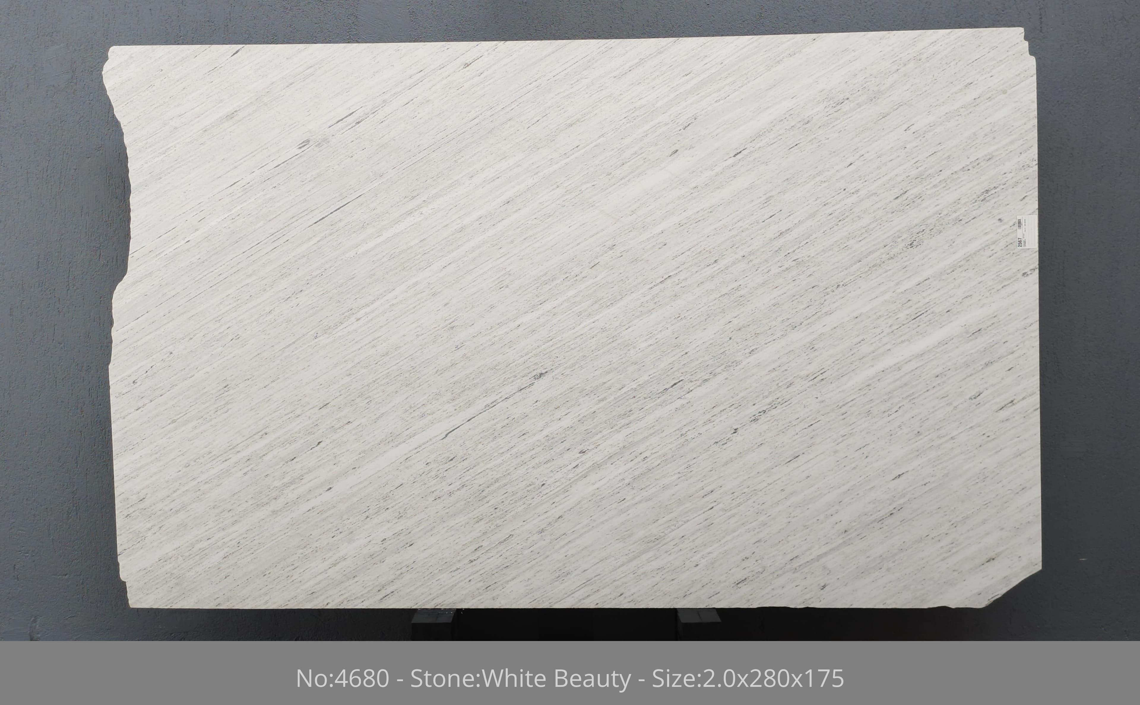 White Beauty 1