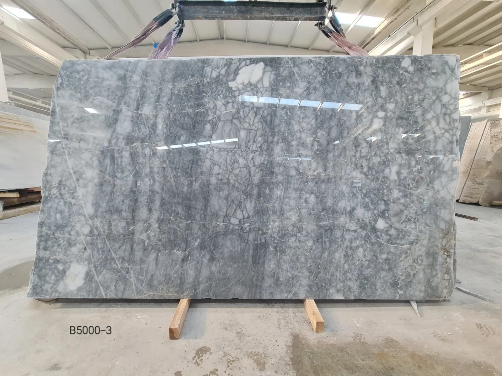 Grigio Venato · Select