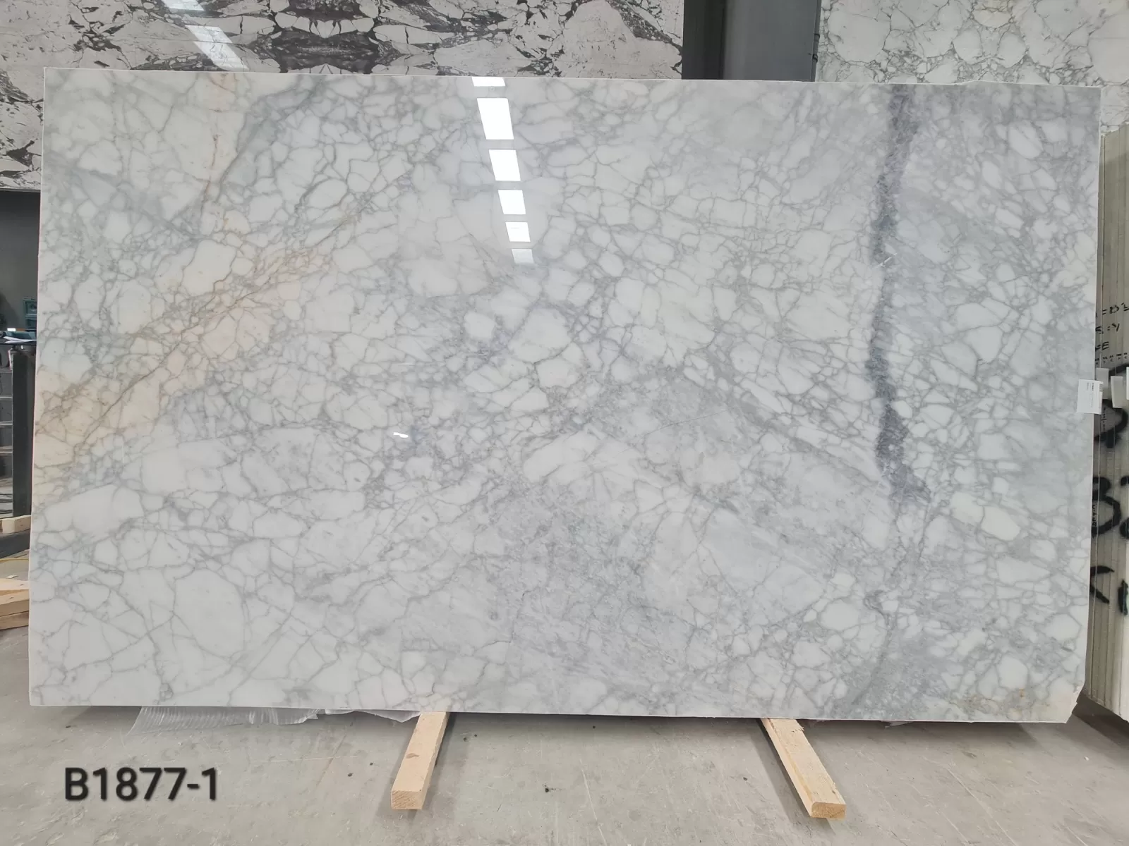 Calacatta Venato · Select