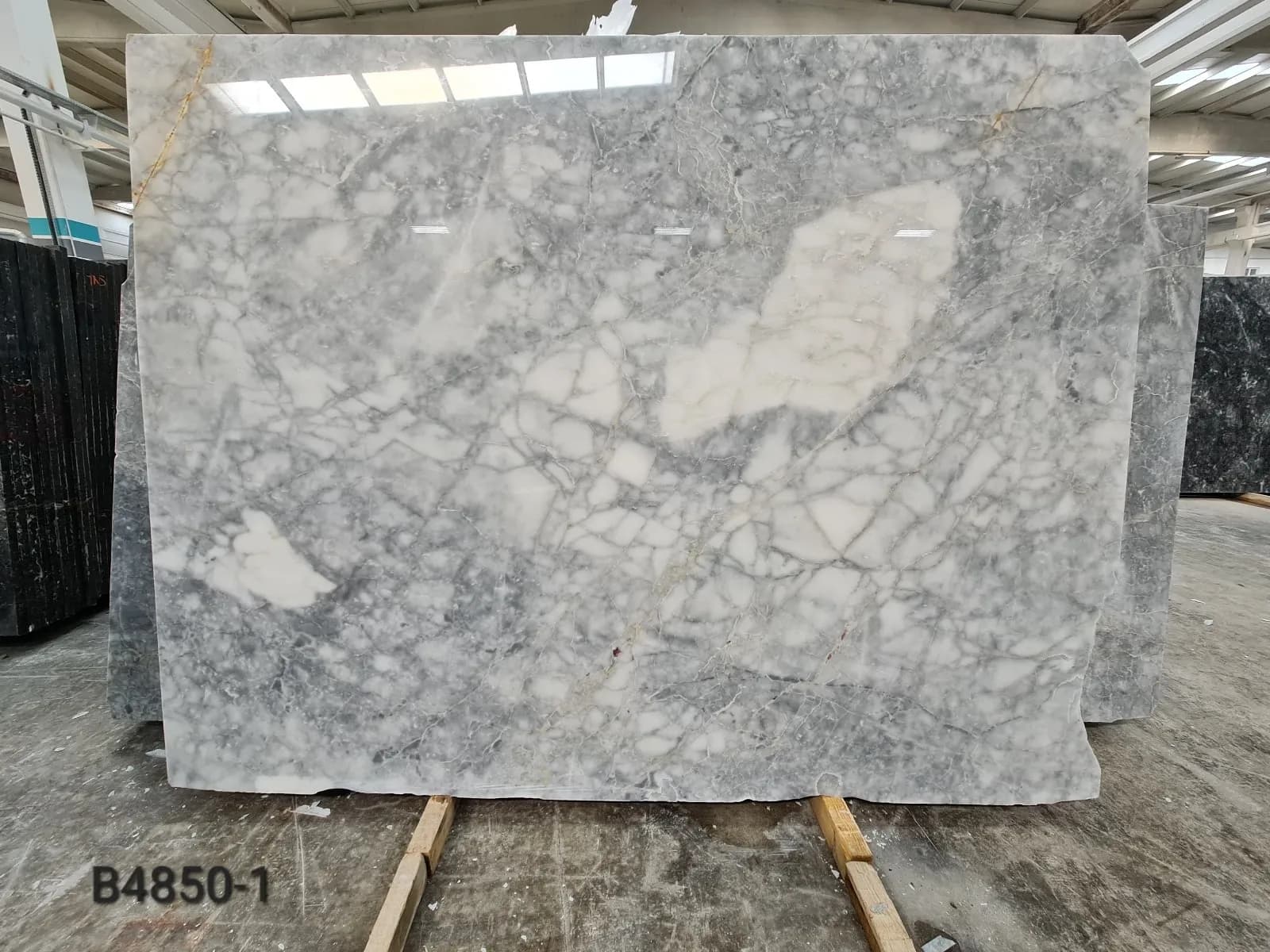 Grigio Venato · Select