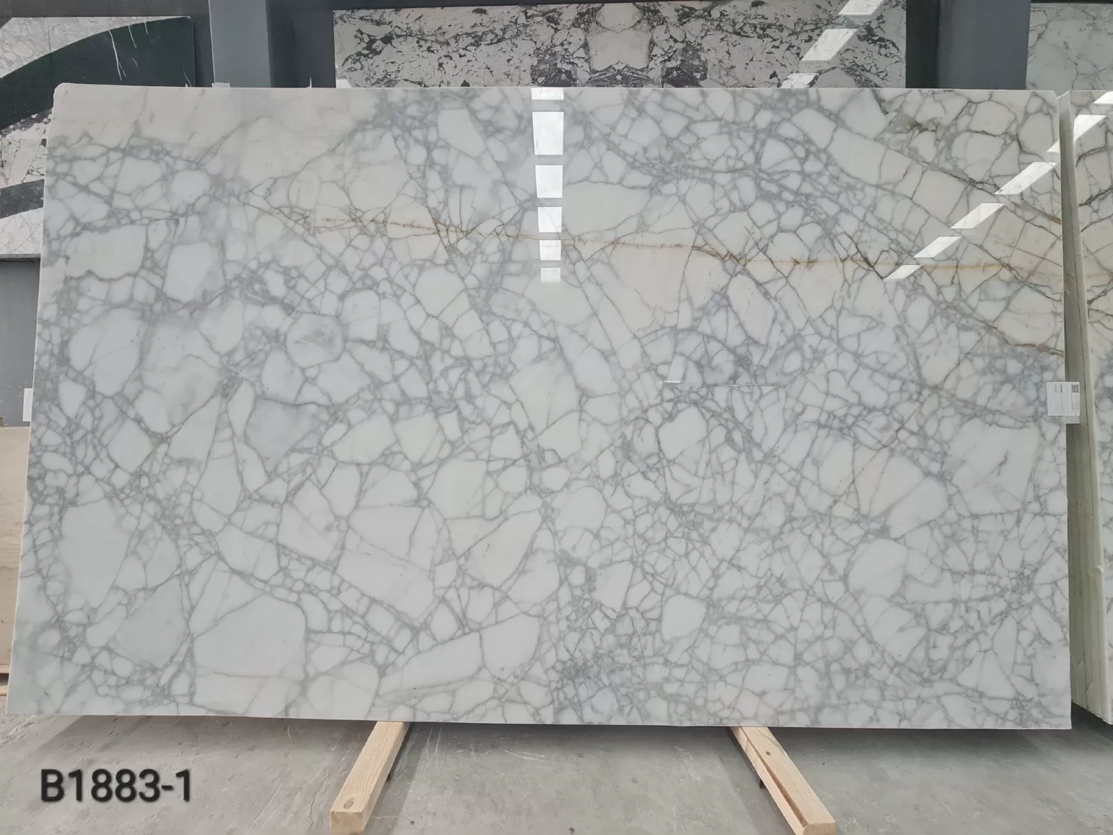 Calacatta Venato · Select