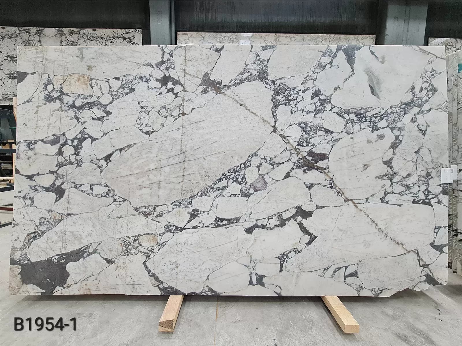 Calacatta Viola · Select · 163×290×3 cm