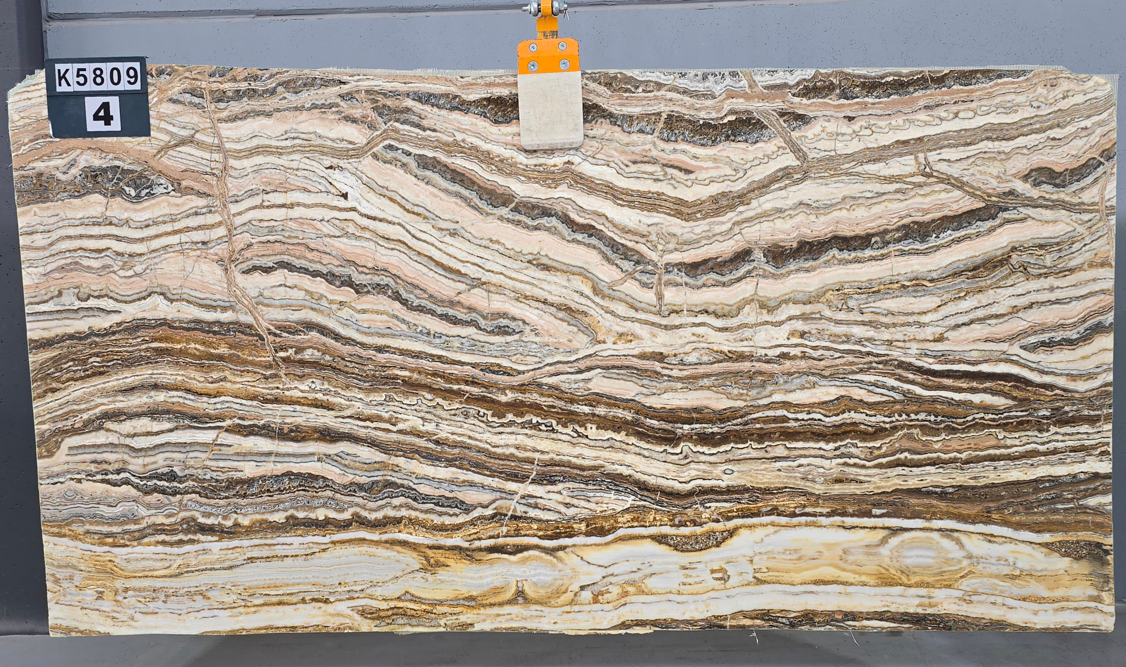 Karmania Traonyx · Select