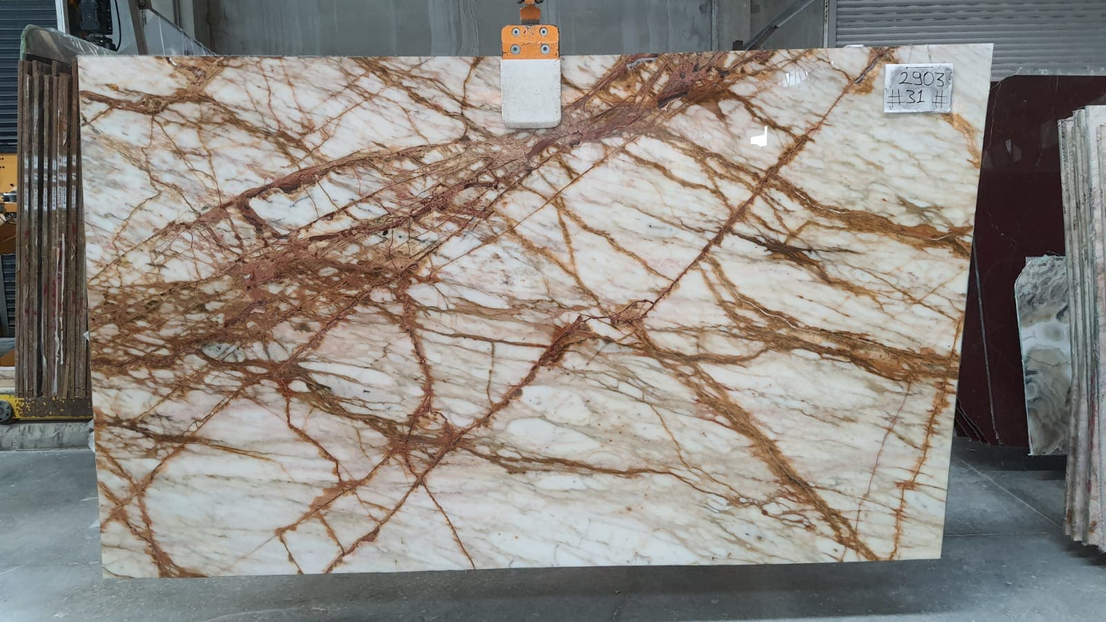 Calacatta Gold · Select