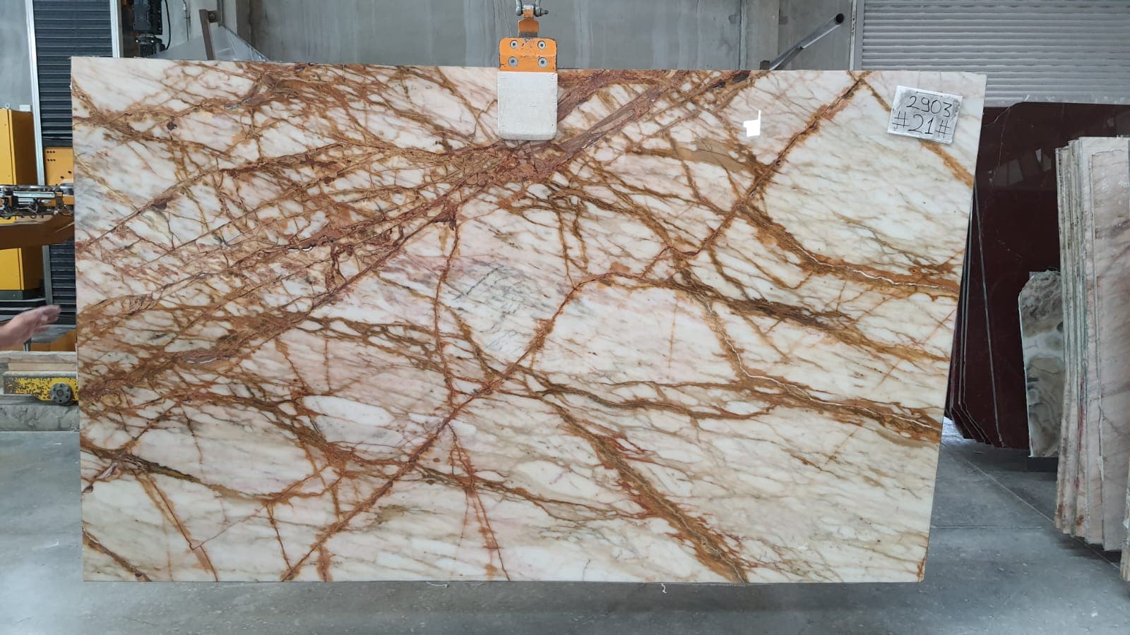 Calacatta Gold · Select