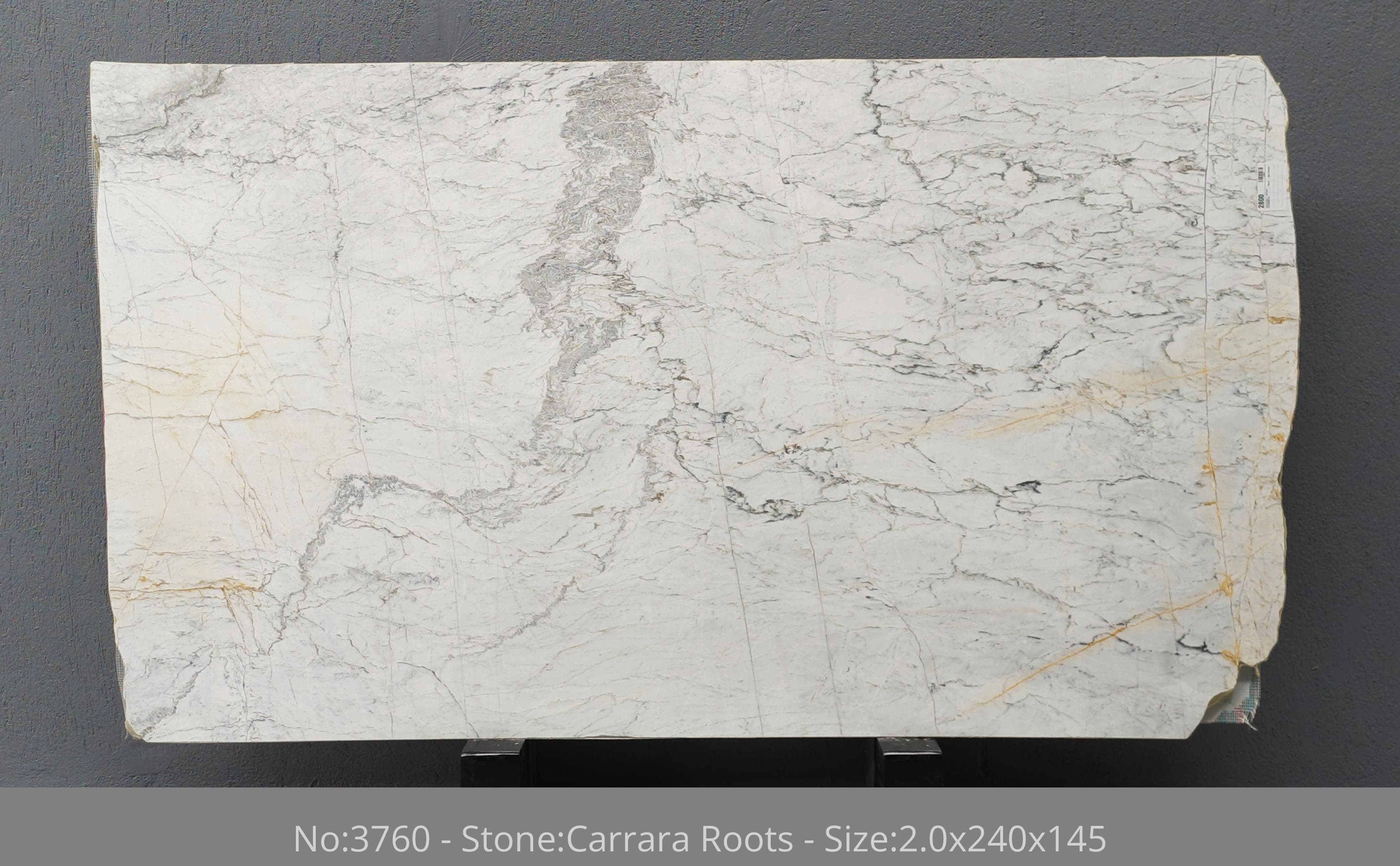 Carrara Roots · Select