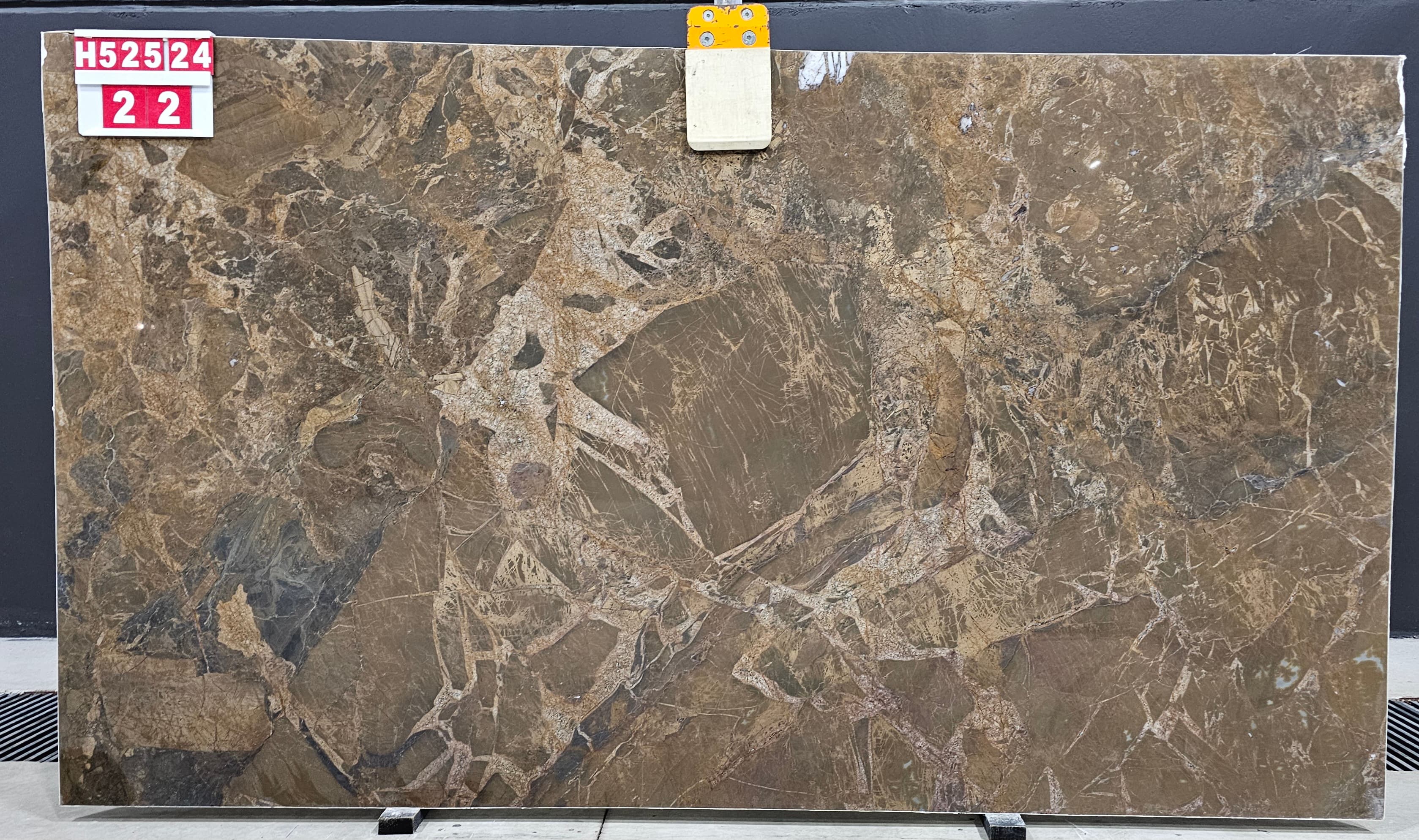 Monaco Brown · Select · 163×295×2 cm