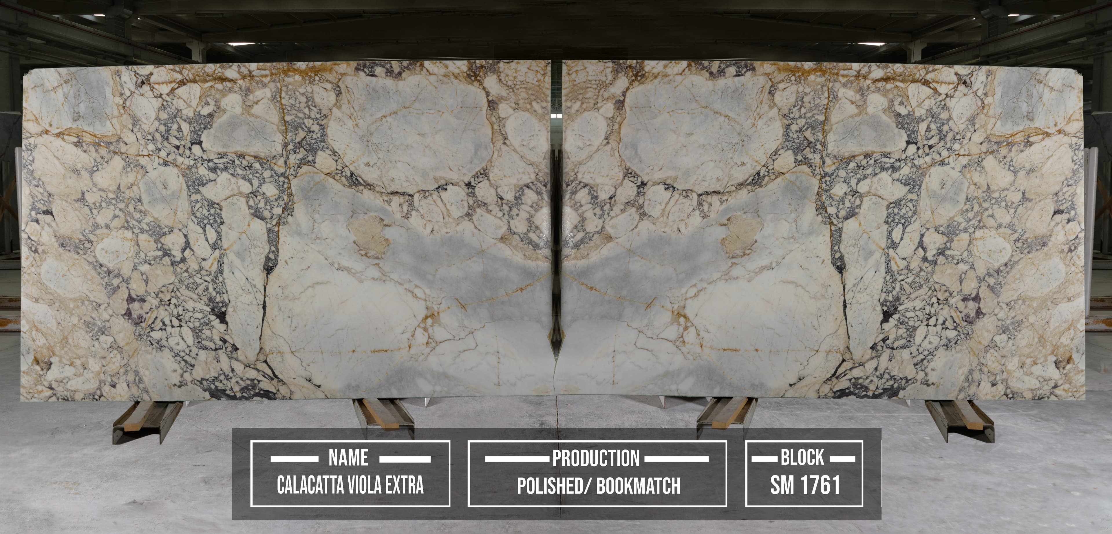 Calacatta Viola Extra · Select