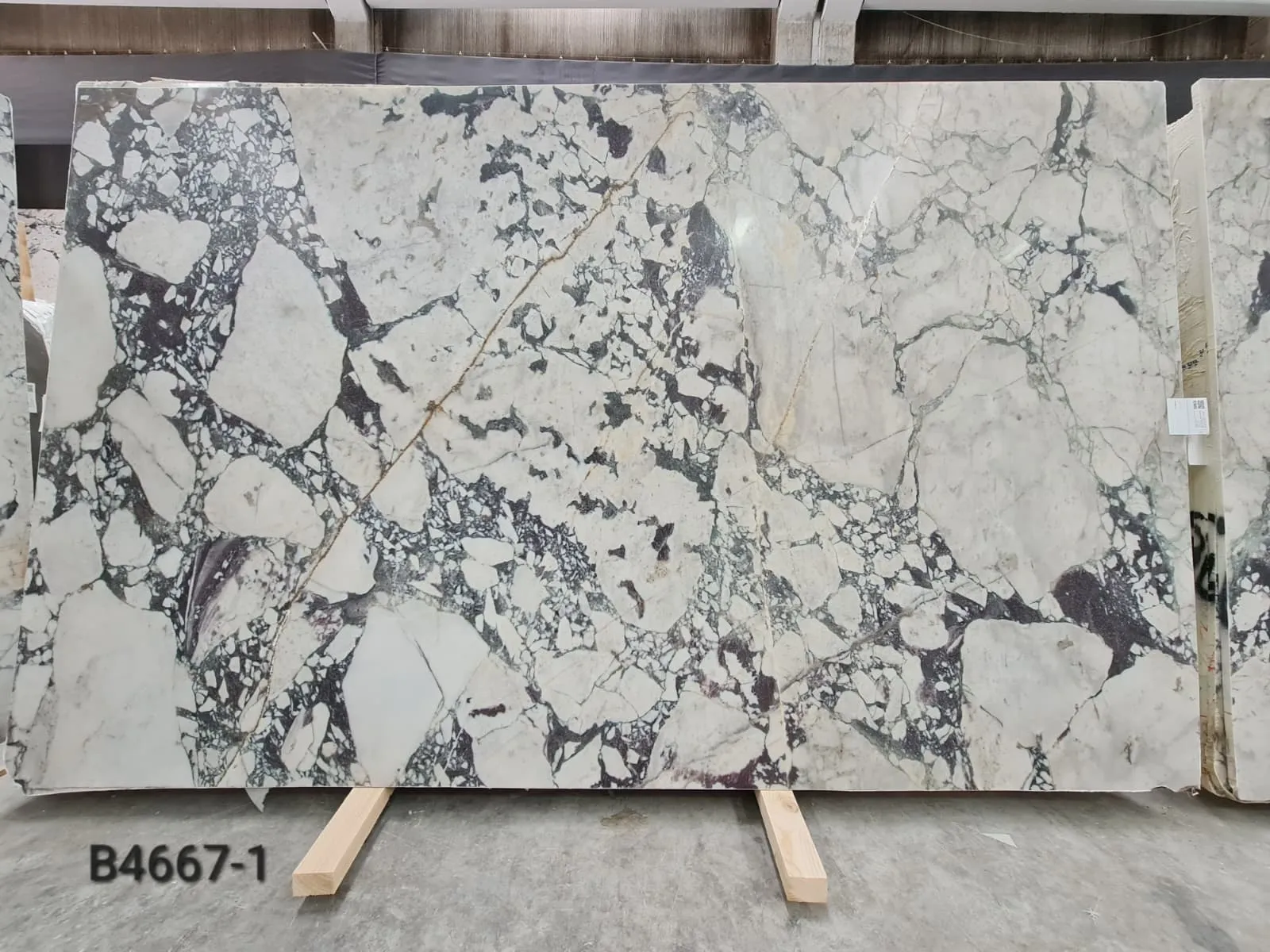 Calacatta Viola · Select