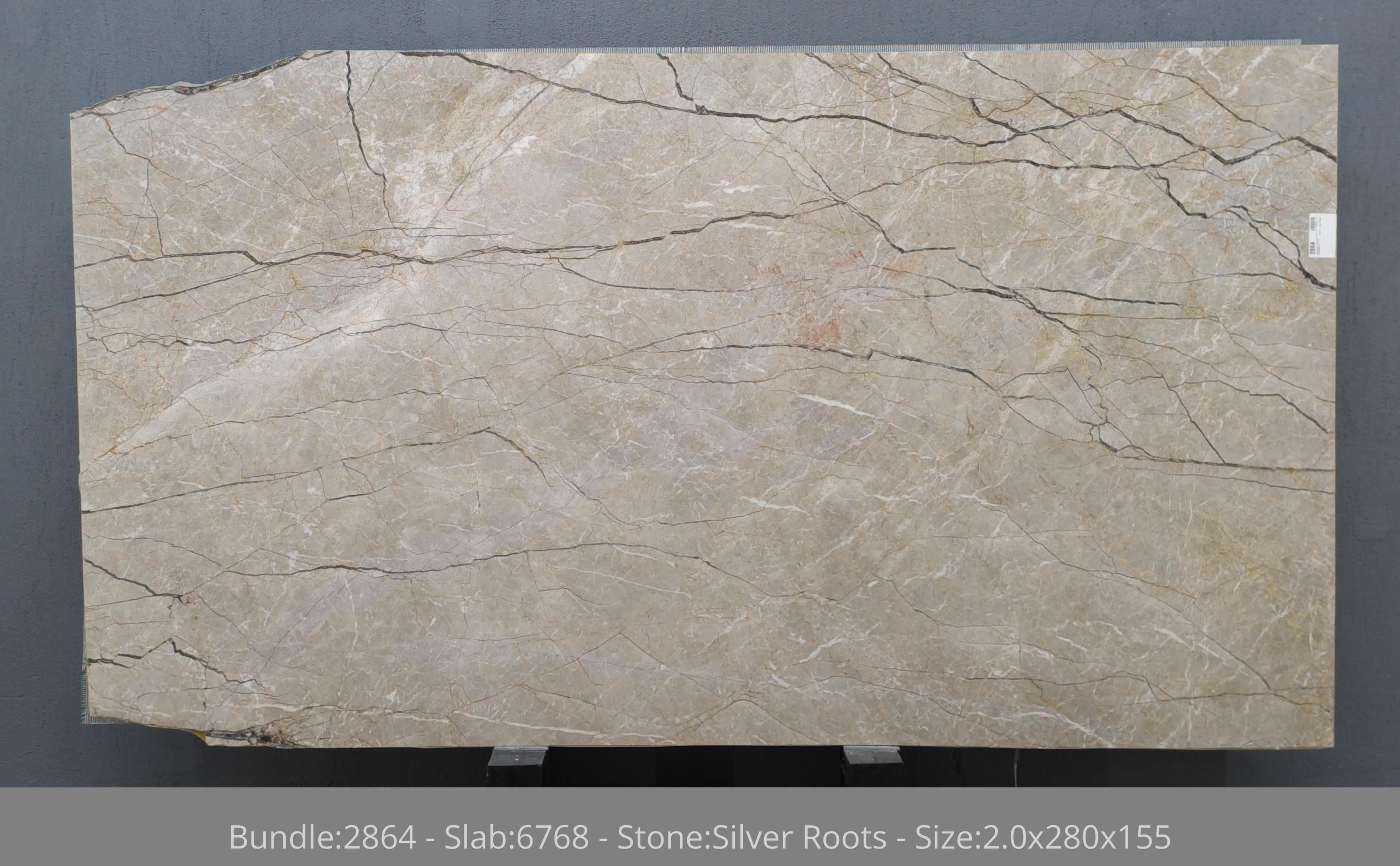 Silver Roots · Select
