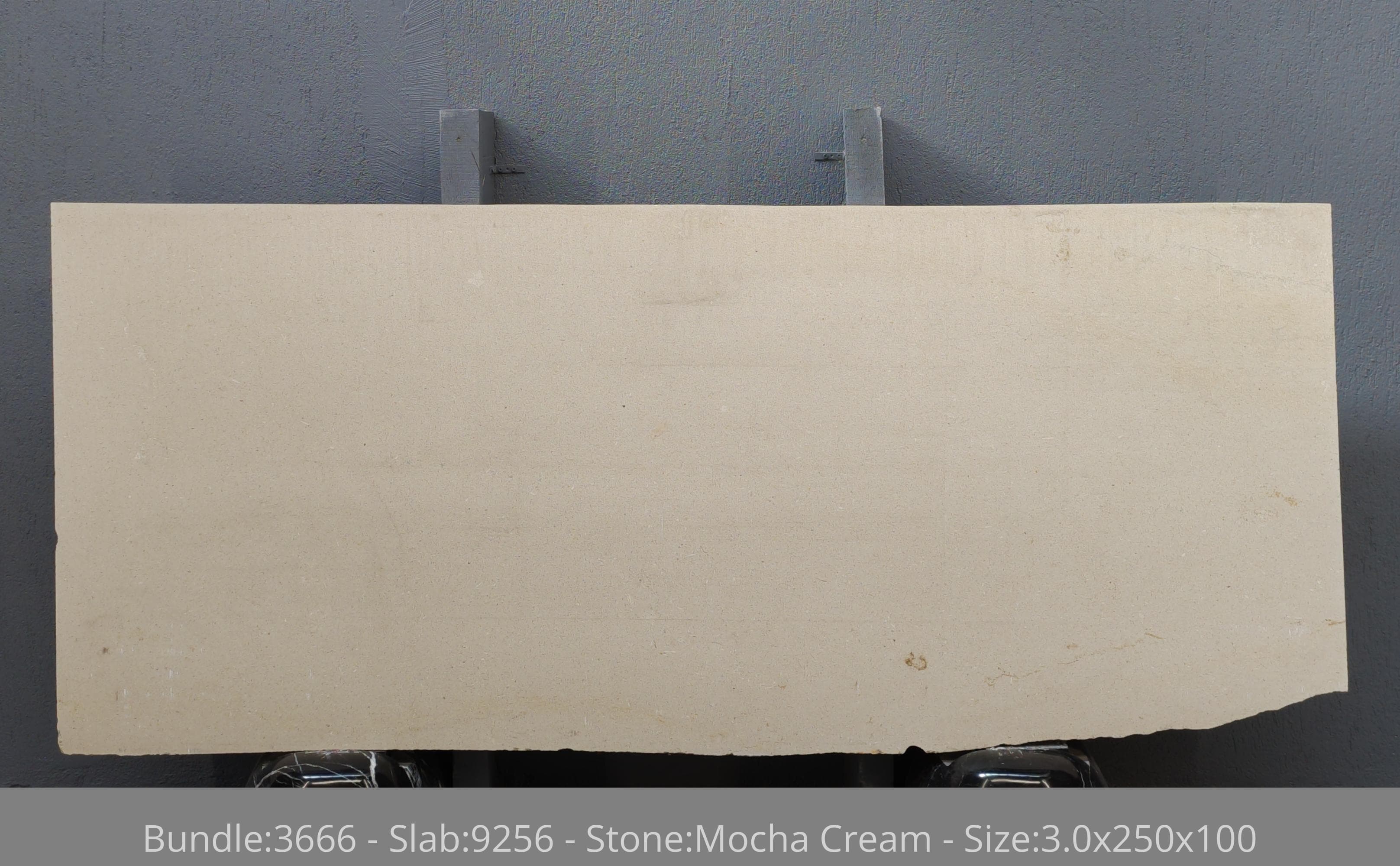 Mocha Cream · Select