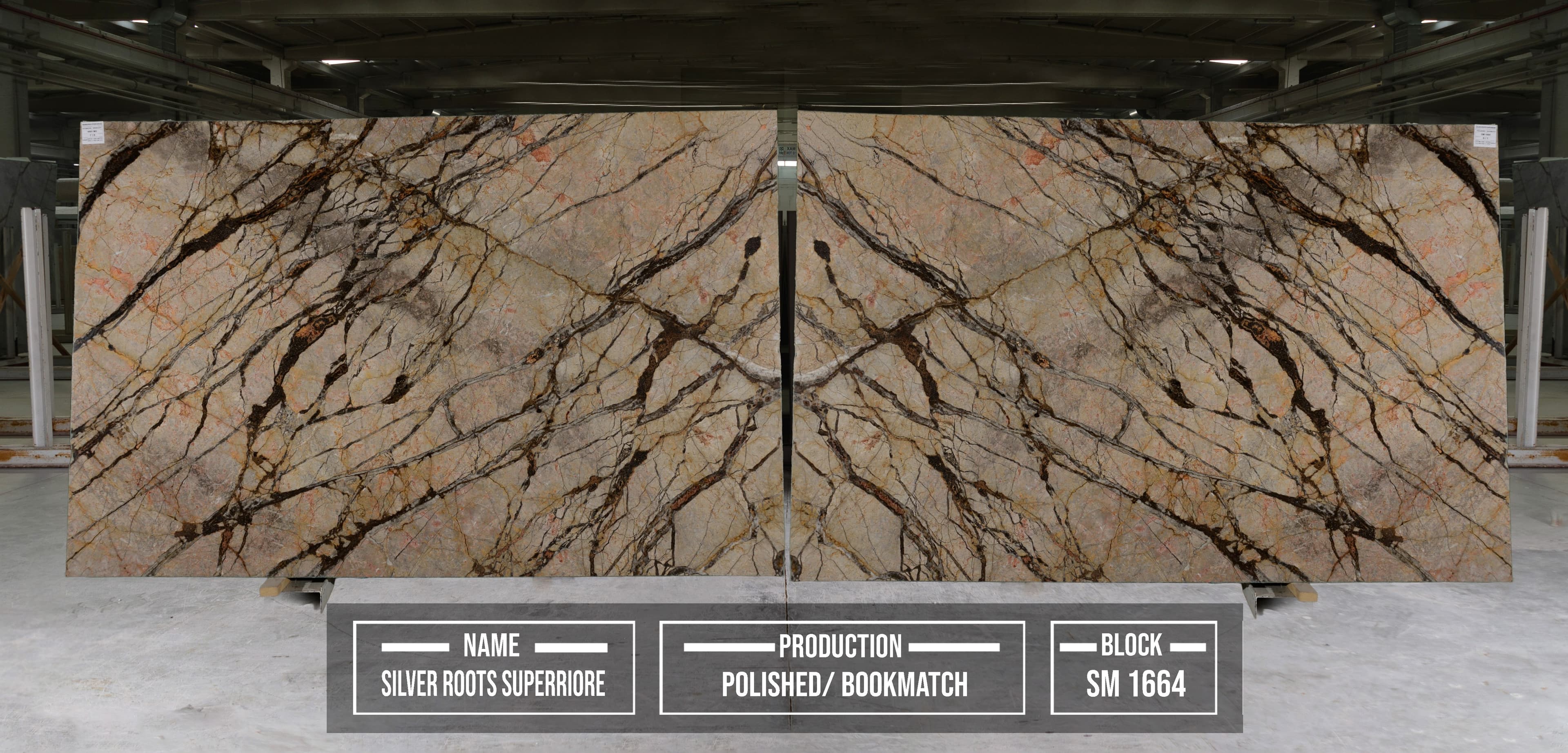 Silver Roots 2