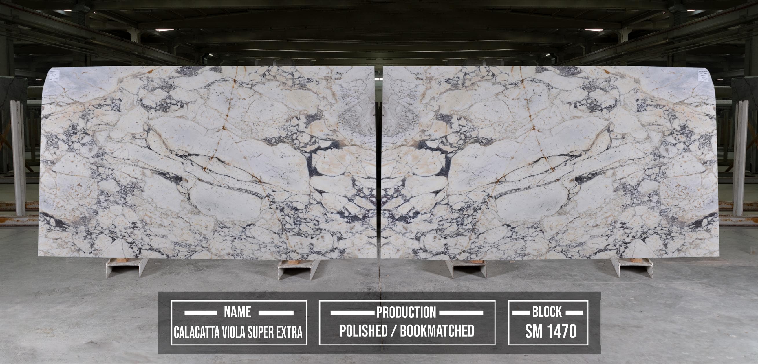 Calacatta Viola Super Extra · Select